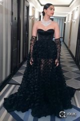 Sonam Kapoor at Cannes 2016